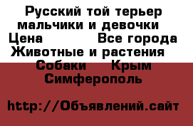 Русский той-терьер мальчики и девочки › Цена ­ 8 000 - Все города Животные и растения » Собаки   . Крым,Симферополь